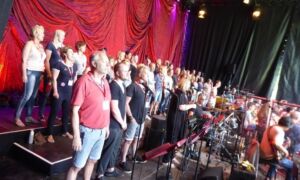 350018 musical