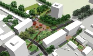 355455 fazantplein