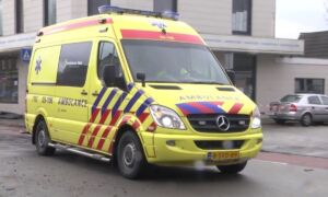 356563 ambu 6