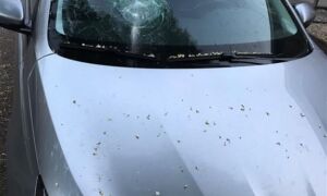 356912 IMG 20180713 WA0000