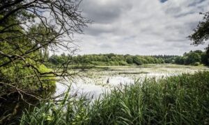 357480 lonnekermeer