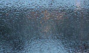 359208 november window glass evening ice 1180028