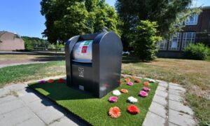 359533 bloemetjes