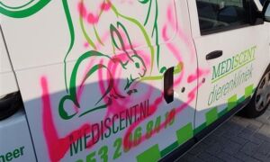 363409 grafiti 1