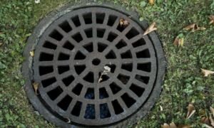 365886 sewer cover 178443 1920