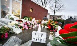 366647 rip shady