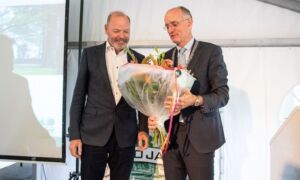 366705 punte lintje