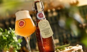 367717 grolsch 17