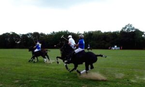 368350 polo