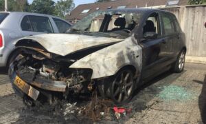 368644 autobranden