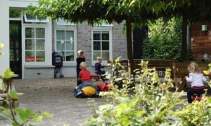 369076 bloesem