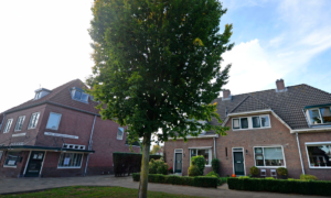 372933 Schermafbeelding 2018 10 10 om 080723