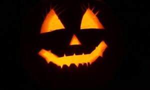377340 pumpkin 2892303 1920
