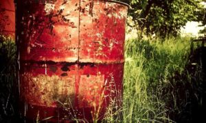 379493 barrel 336632 1920