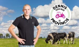 379924 dennisschouten