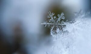 380644 snowflake 1245748 1920 1