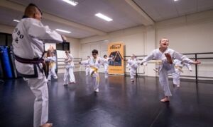 381479 karate