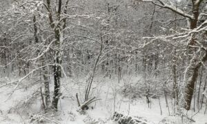 381555 snow 442857 1920