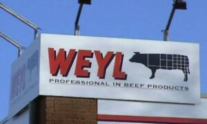 38683 Weyl