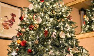 387470 christmas tree 1081981 1920