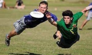 39394 frisbee