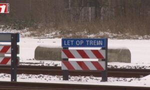 394621 20190124 goederentreinen trein