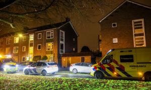 3960f8d0 879f 4eae a808 66dc24d88de9