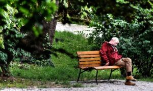 397491 dakloze
