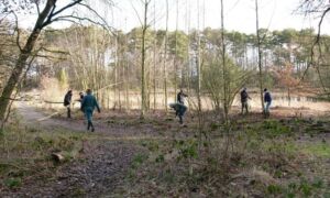 397843 Buursermeertje 1