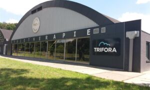 403370 trifora enschede