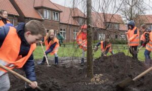 404645 boomplantdag 2