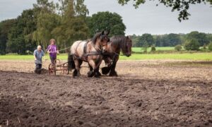 407823 Landgoed Al Goed Lentefair