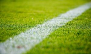 410779 voetbalveld 1