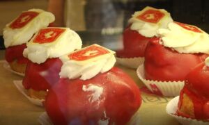 411635 FC Twente bollen
