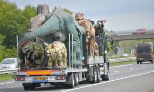 416004 Dino Emiel