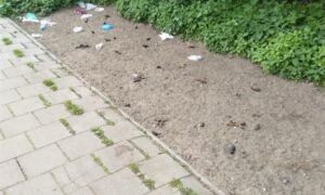416806 Hups weg