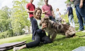 417270 hond 3