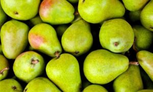 422957 fruit 1534494 1920