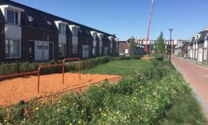 423032 plein