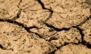 427852 drought 780088 1920 1