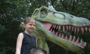 427904 thumbnail dino