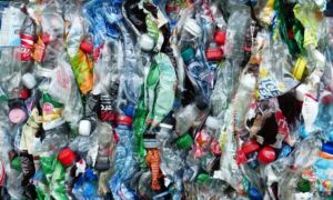 433773 plastic bottles 115071 1920