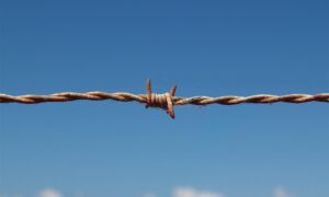 436713 barbed wire 1199172 1920