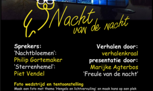 437643 thumbnail nacht van de nacht poster