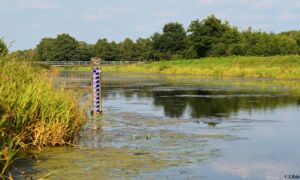 Kanaal Twente