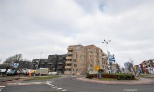 450662 955806 Thumb Large