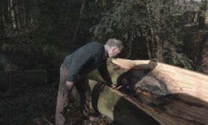 450946 Still boswachter