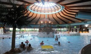 452492 584885 Thumb Large