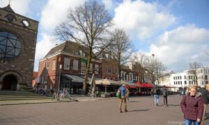 453521 961926 Thumb Large