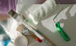 454209 brush 1034901 1920